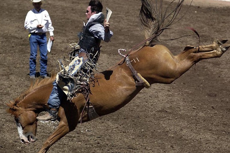 Calgary Stampede